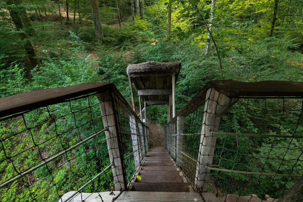 L'Arbre A Cabane Guyonvelle Eksteriør billede