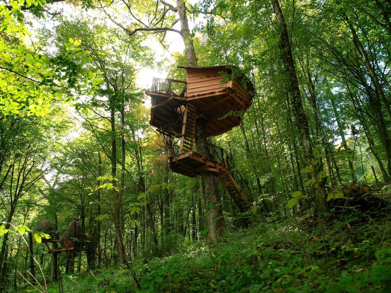 L'Arbre A Cabane Guyonvelle Eksteriør billede