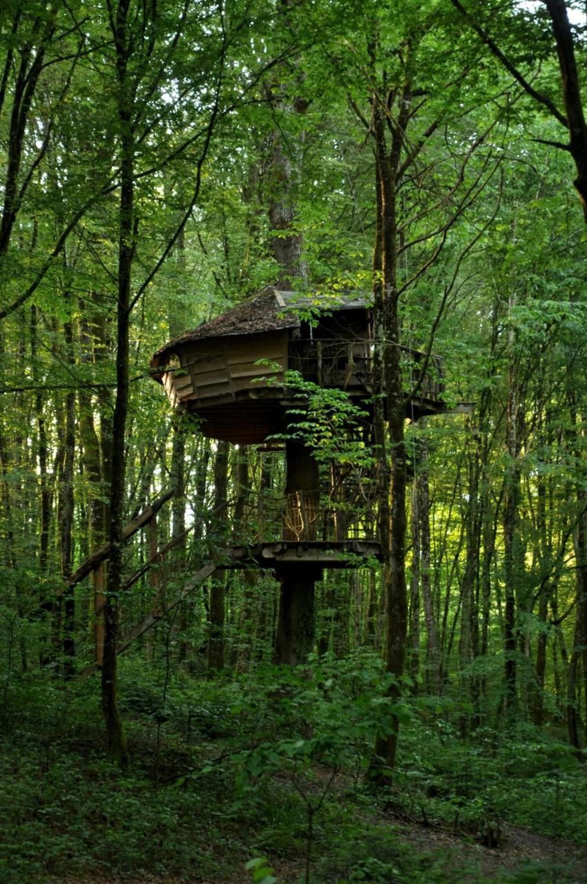 L'Arbre A Cabane Guyonvelle Eksteriør billede