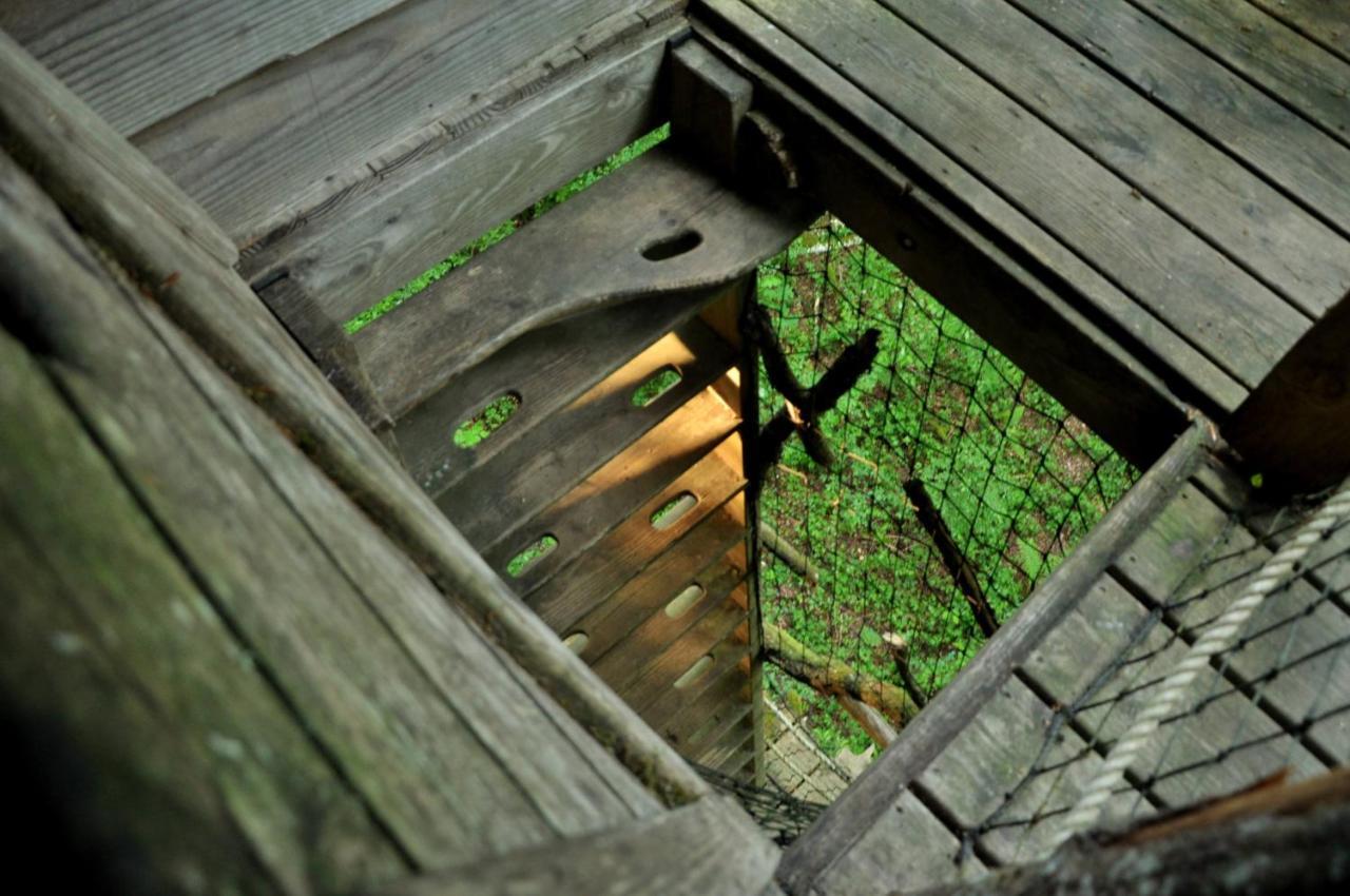 L'Arbre A Cabane Guyonvelle Eksteriør billede